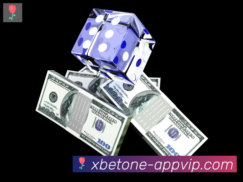 1xbet体育荣誉